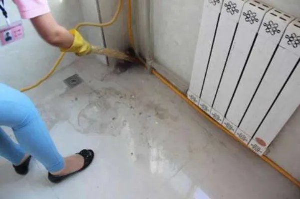 上班第一天 碰瓷：是故意碰瓷吗事情经过详情曝光