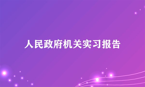人民政府机关实习报告