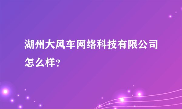 湖州大风车网络科技有限公司怎么样?