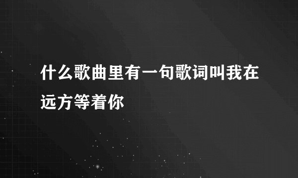 什么歌曲里有一句歌词叫我在远方等着你