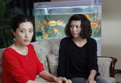 妯娌的三国时代在伦理家庭剧里是什么水平?
