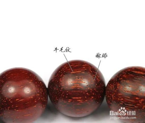 小叶紫檀图片