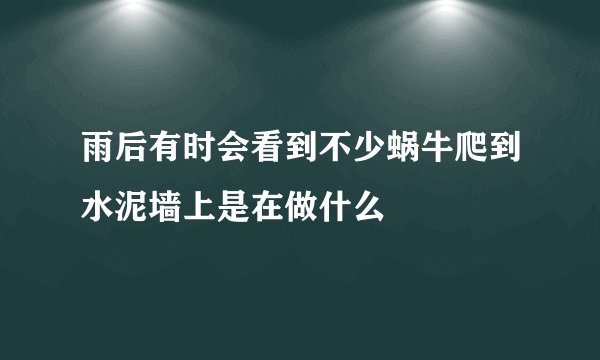 雨后有时会看到不少蜗牛爬到水泥墙上是在做什么