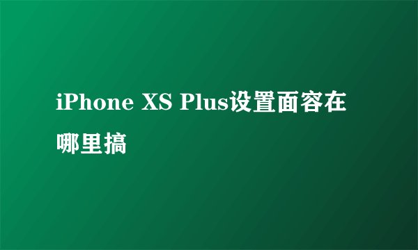 iPhone XS Plus设置面容在哪里搞