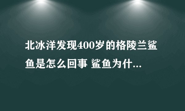 北冰洋发现400岁的格陵兰鲨鱼是怎么回事 鲨鱼为什么那么长寿