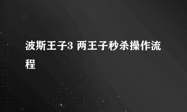 波斯王子3 两王子秒杀操作流程