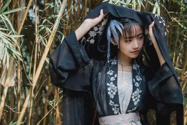 刘阳出轨对象半藏森林道歉,这个女孩究竟是何来历?