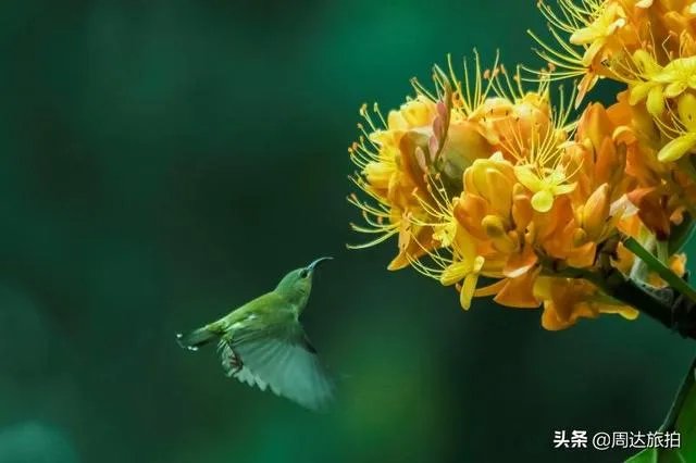去广州旅游,有什么好去处值得推荐?