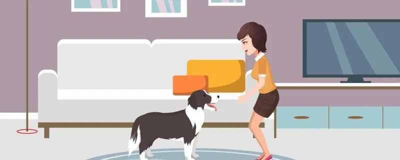 狗身上调节体温的汗腺在哪里