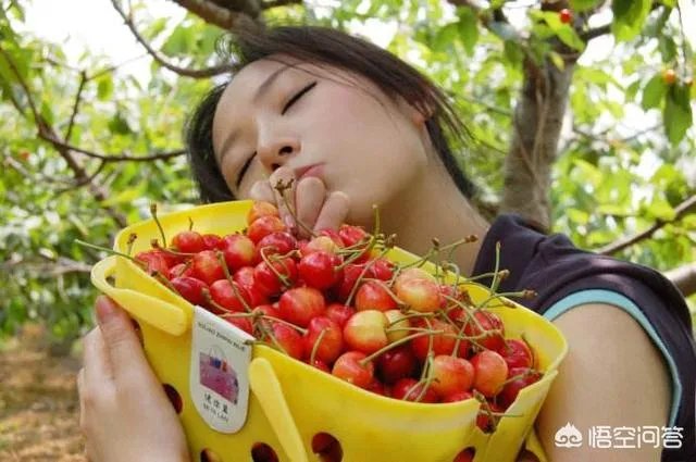 为什么现在大樱桃有卖一百元一斤的,网络里还有九十九五斤的?