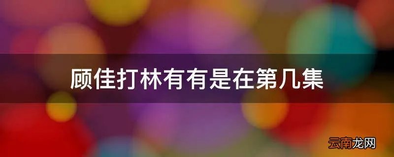 顾佳打林有有是在第几集