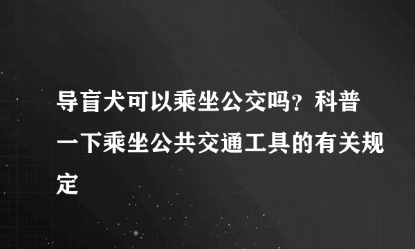 导盲犬可以乘坐公交吗？科普一下乘坐公共交通工具的有关规定
