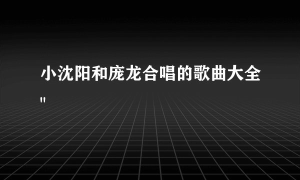 小沈阳和庞龙合唱的歌曲大全