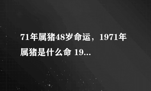 71年属猪48岁命运，1971年属猪是什么命 1971年出生人的命运