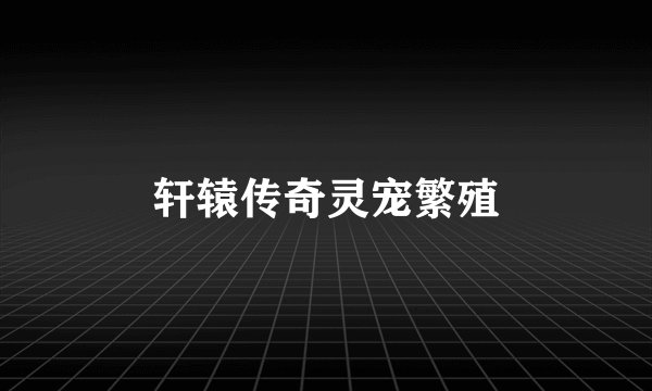 轩辕传奇灵宠繁殖