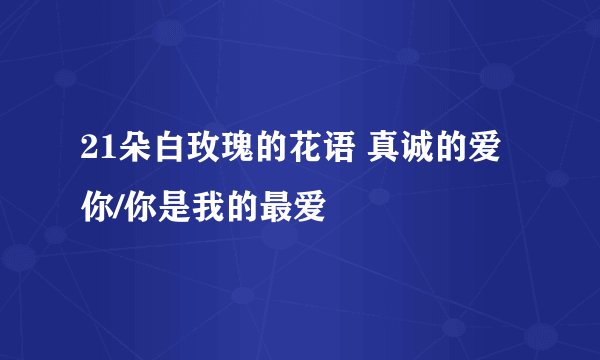 21朵白玫瑰的花语 真诚的爱你/你是我的最爱