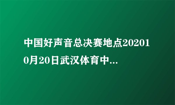 中国好声音总决赛地点202010月20日武汉体育中心交通管制
