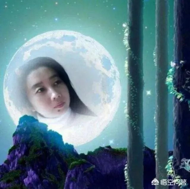 上联：孤月难熬星陪伴，如何对下联？