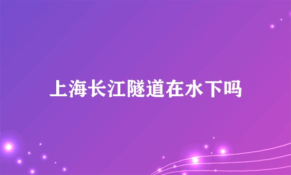 上海长江隧道在水下吗