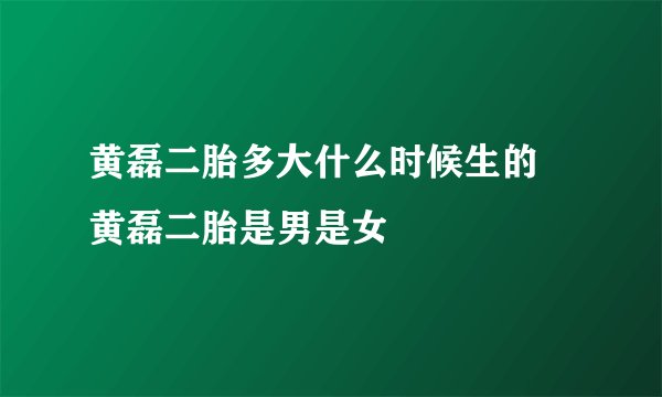 黄磊二胎多大什么时候生的 黄磊二胎是男是女