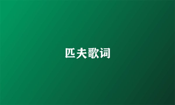 匹夫歌词