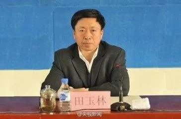 田玉林的严重违纪