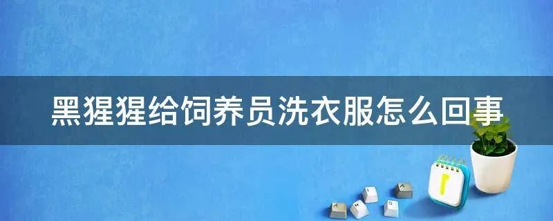 黑猩猩给饲养员洗衣服怎么回事