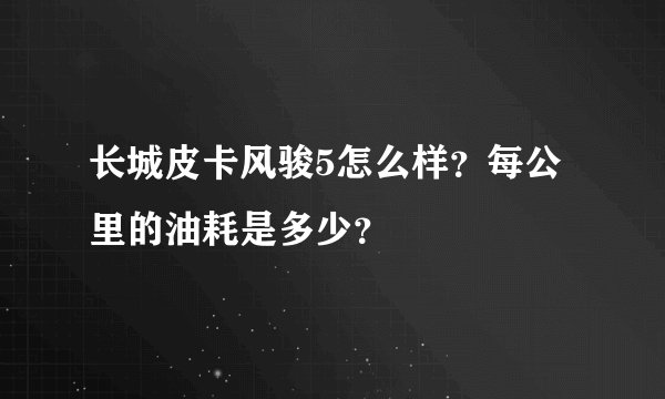 长城皮卡风骏5怎么样?每公里的油耗是多少?
