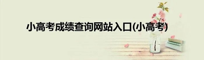 小高考成绩查询网站入口(小高考)