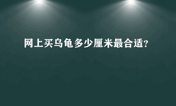 网上买乌龟多少厘米最合适？