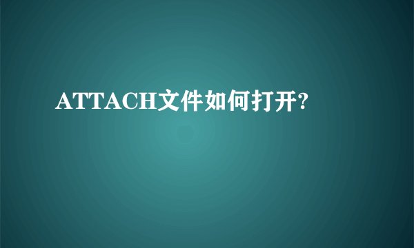 ATTACH文件如何打开?