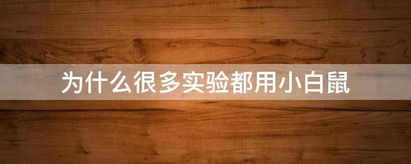 为什么很多实验都用小白鼠