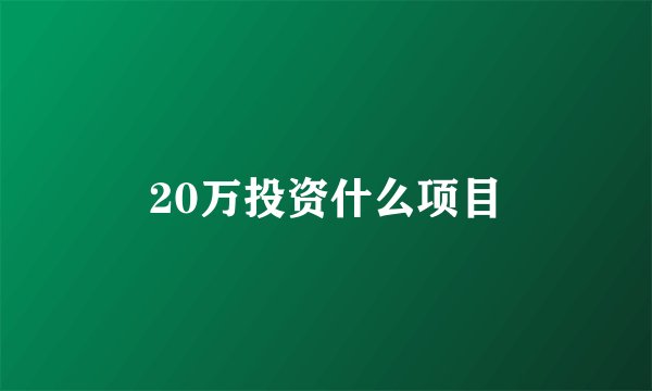 20万投资什么项目