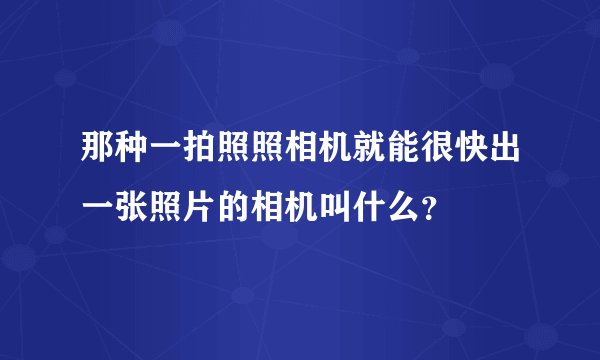 那种一拍照照相机就能很快出一张照片的相机叫什么？