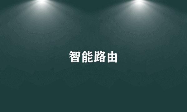 智能路由