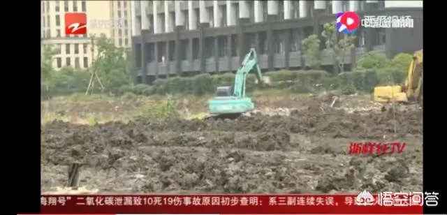 拆迁征地上种菜被推平,大妈报警维权要求赔偿被拒绝,怎么办?
