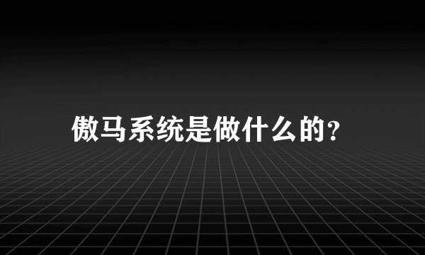 傲马系统是做什么的?