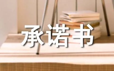 项目真实性承诺书
