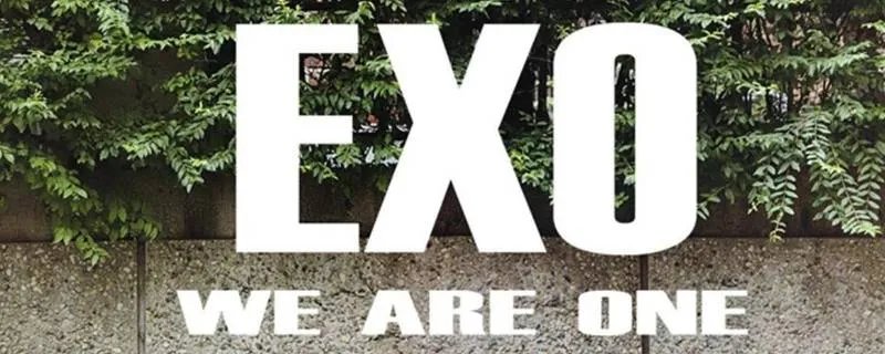exo成员有哪些