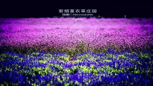 沈阳一日游好去处,沈阳周边一日游去哪好