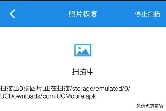 恢复删除的照片张柏芝