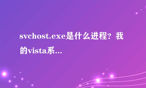 svchost.exe是什么进程?我的vista系统怎么有16个进程?是不是中毒了?