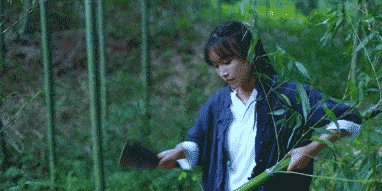坐拥几千万粉丝的李子柒,被质疑的真实,到底长什么样?