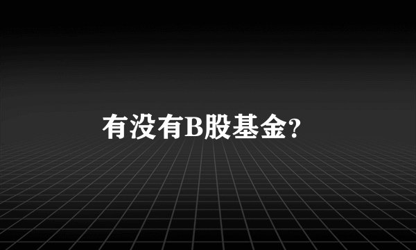 有没有B股基金？