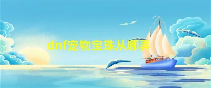 dnf宠物宝珠从哪弄