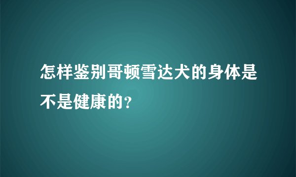 怎样鉴别哥顿雪达犬的身体是不是健康的？