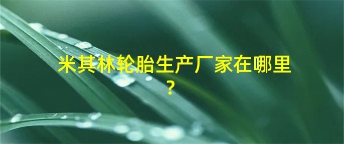 米其林轮胎生产厂家在哪里？