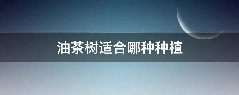 油茶树适合哪种种植