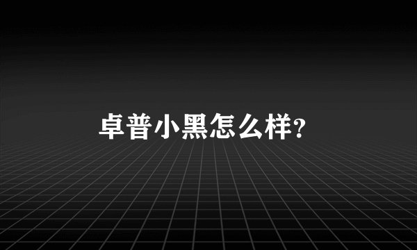卓普小黑怎么样？