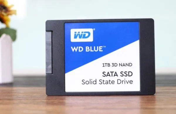 wd是什么意思?